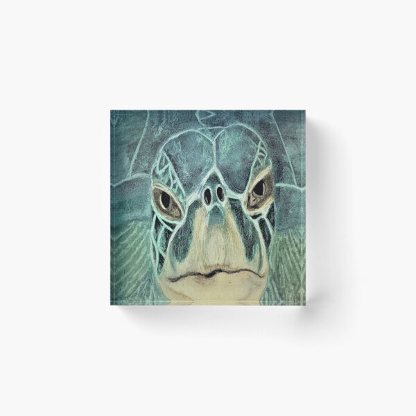 Item preview, Señor Sea Turtle designed and sold by Andi-Impression.
