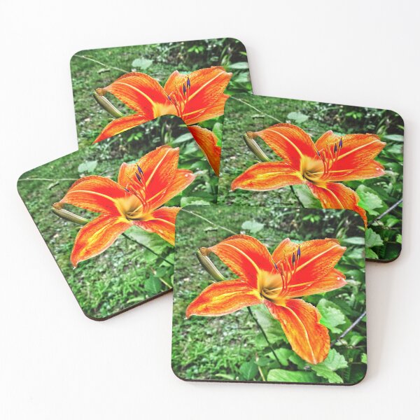 Item preview, Orange Flower designed and sold by brunoanjoloart.