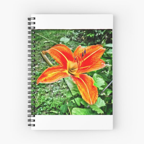 Item preview, Orange Flower designed and sold by brunoanjoloart.