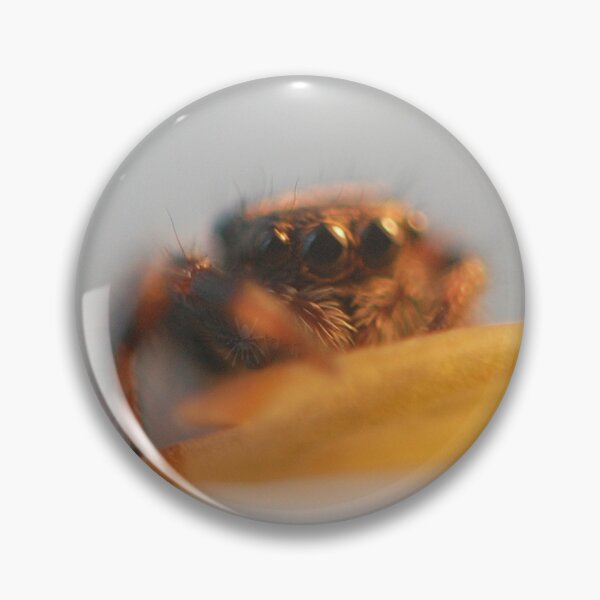 Item preview, Jumping spider sling circular  designed and sold by SharpSpiders.