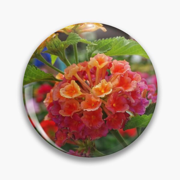 Item preview, Bunch of Beauty designed and sold by brunoanjoloart.