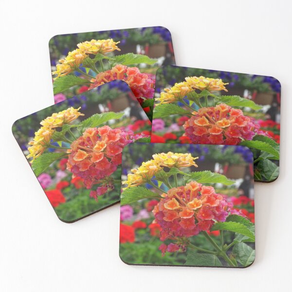 Item preview, Bunch of Beauty designed and sold by brunoanjoloart.