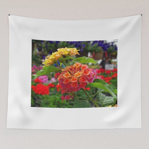 Item preview, Bunch of Beauty designed and sold by brunoanjoloart.