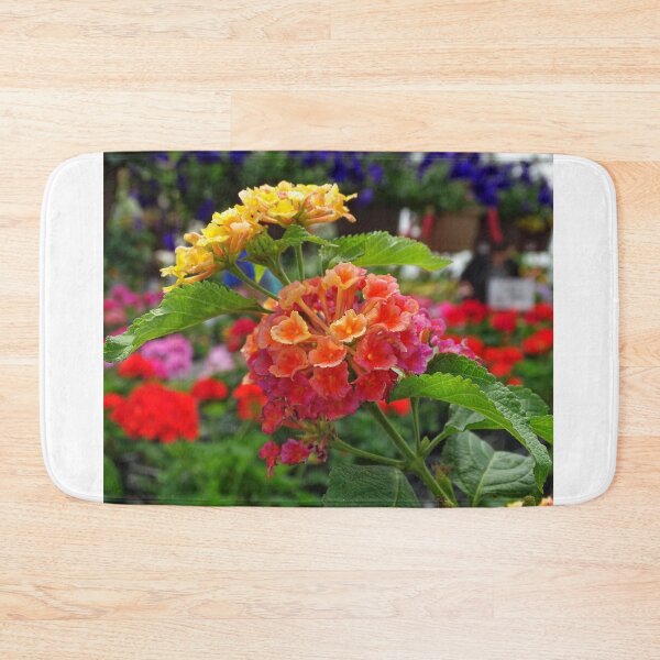 Item preview, Bunch of Beauty designed and sold by brunoanjoloart.