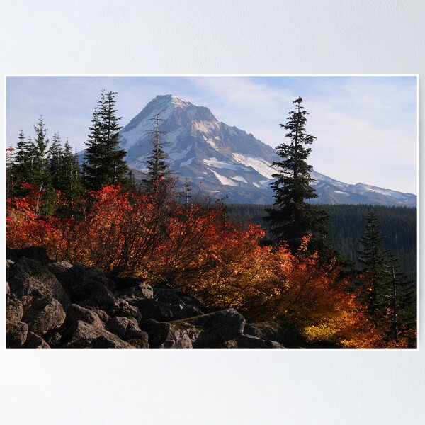 Mt Hood 8910_101610 Poster