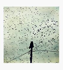 The Dreamer Photographic Print