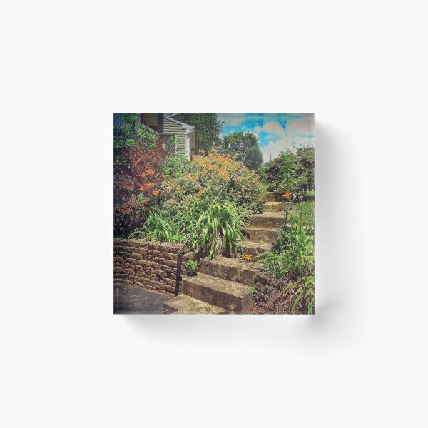 Item preview, Flower Filled Stairs designed and sold by brunoanjoloart.
