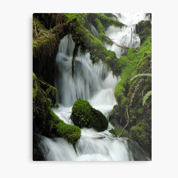 Wahkeena Creek 3040_032505 Metal Print