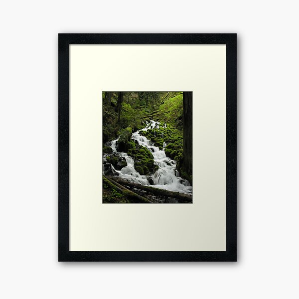 Wahkeena Creek 3112_032505 Framed Art Print