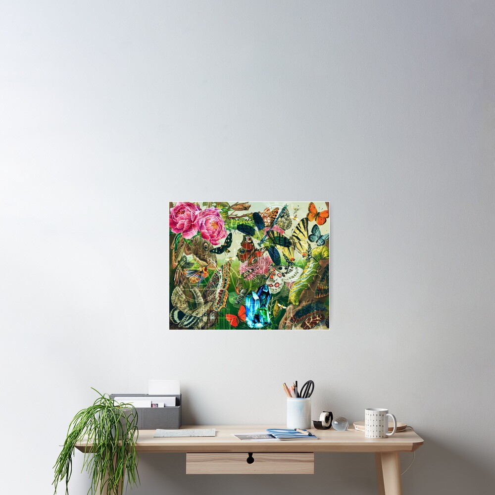 The Cabinet of Curiosities Poster