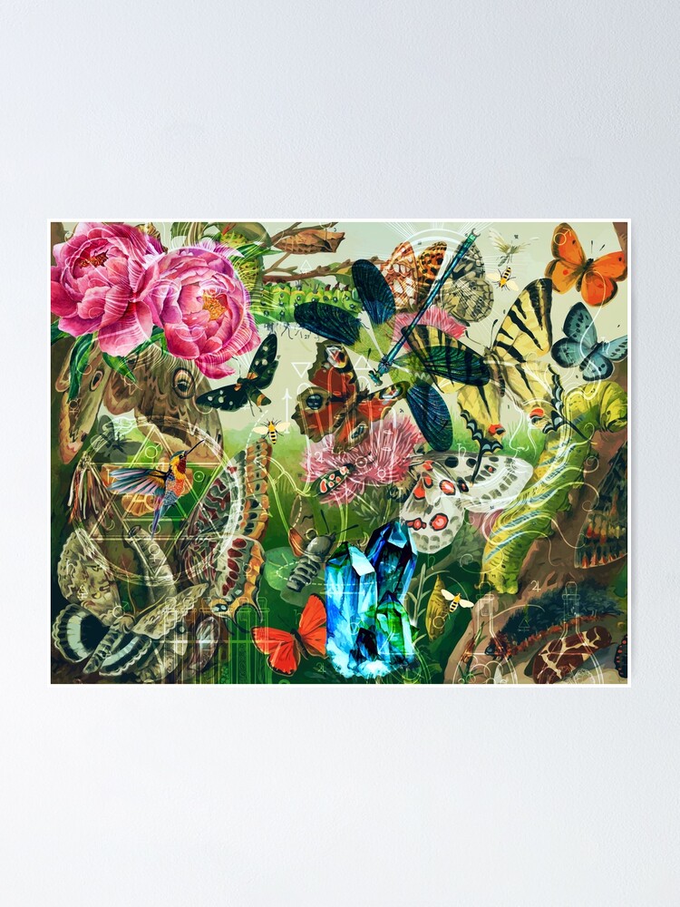 Alternate view of The Cabinet of Curiosities Poster