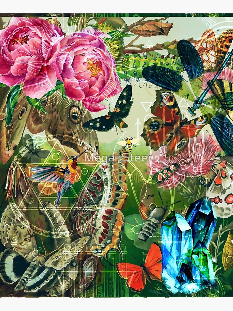 The Cabinet of Curiosities by MeganSteer