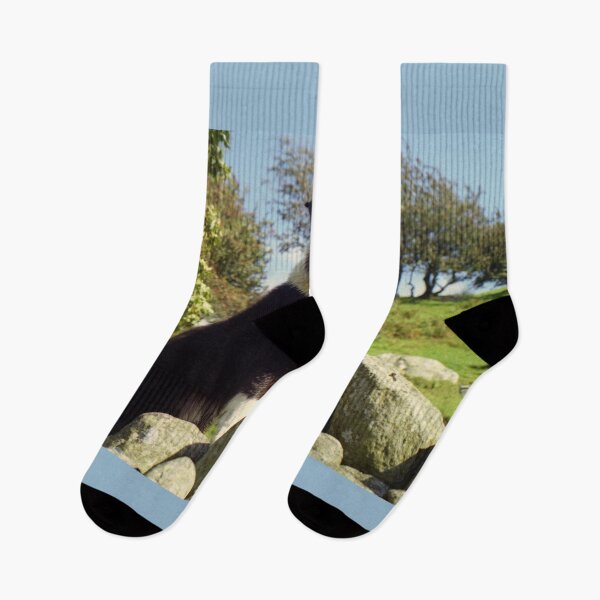 Item preview, Proud Indy designed and sold by Michael Haslam.