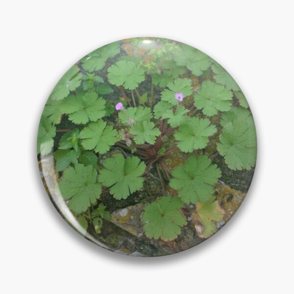 Item preview, Life on an old stone wall designed and sold by Anna Lemos.