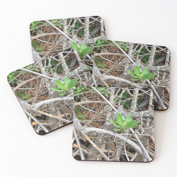 Item preview, mangrove  designed and sold by RadicalRichies.