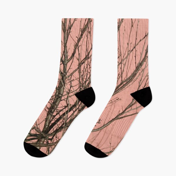 Artikelvorschau, Bloßer Baum gegen eine rosa Wand entworfen und verkauft von Anna Lemos.