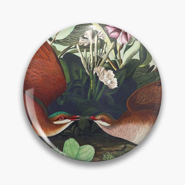 Item preview, Key West Dove  (Quail) by John James Audubon designed and sold by TheCurators.
