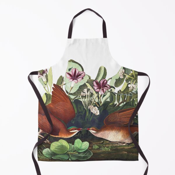 Item preview, Key West Dove  (Quail) by John James Audubon designed and sold by TheCurators.