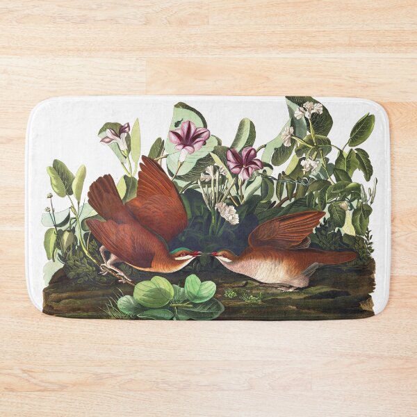 Item preview, Key West Dove  (Quail) by John James Audubon designed and sold by TheCurators.
