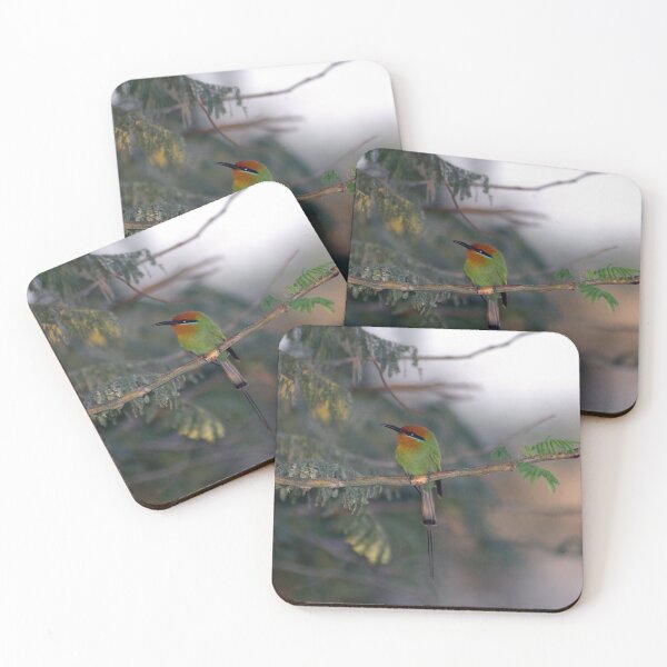 Item preview, African Tropical Colorful Bird Perched on Tree designed and sold by worldways.