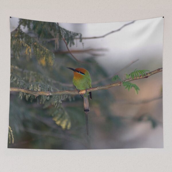 Item preview, African Tropical Colorful Bird Perched on Tree designed and sold by worldways.