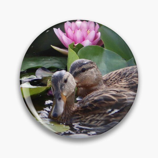 Item preview, Duck Duck designed and sold by Carol Bock.