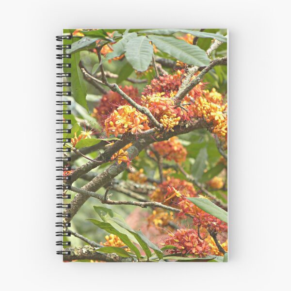 Item preview, Flowering Tree Branches Orange Flowers designed and sold by worldways.