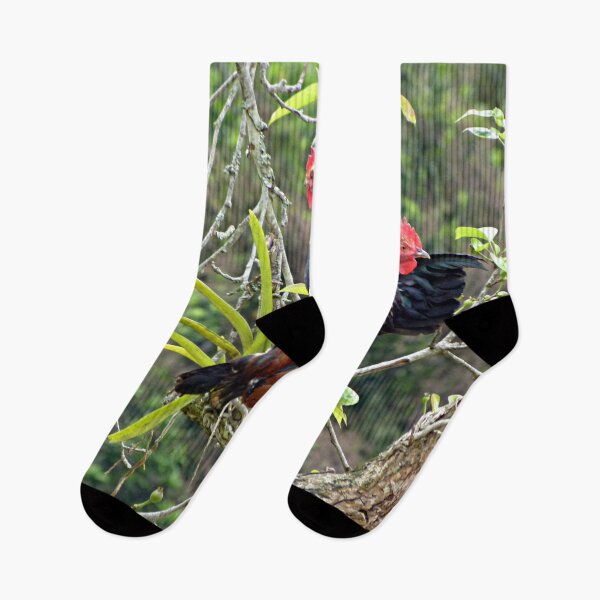 Item preview, Roosters Chickens Fowl Birds Perching on tree designed and sold by worldways.