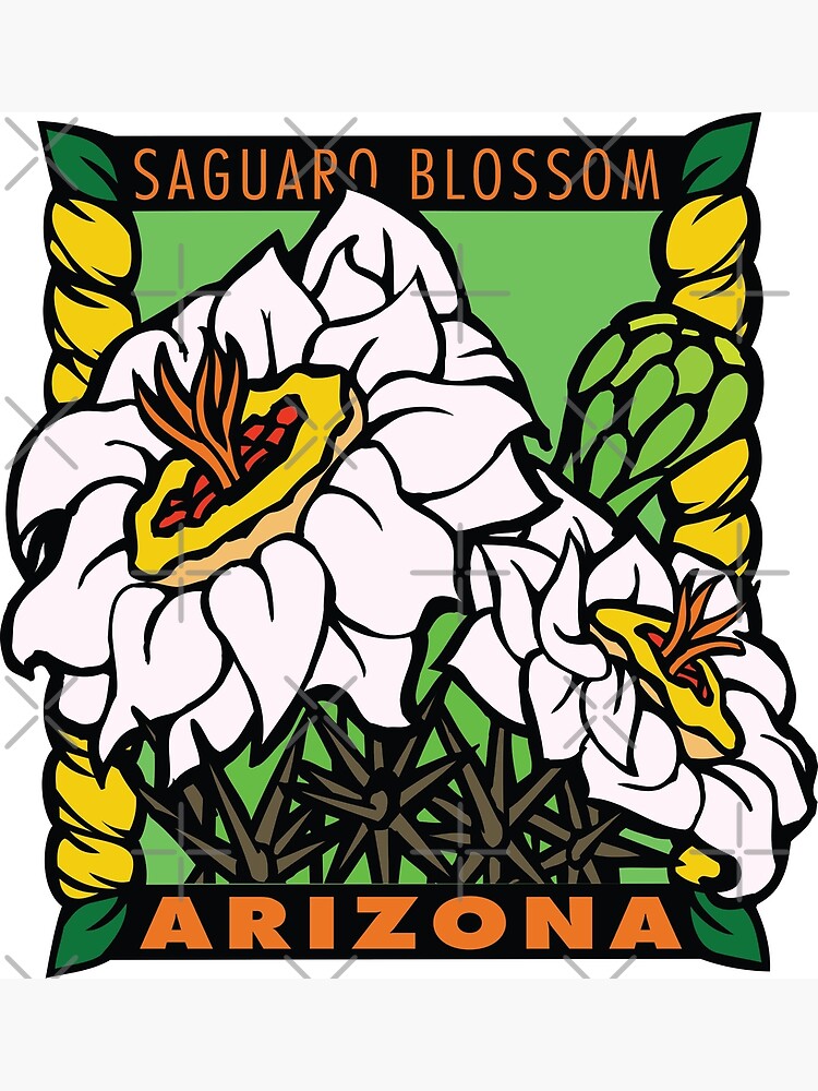 "Arizona State flower Saguaro Blosom" Poster by CosteO Redbubble