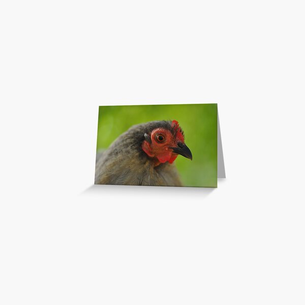 Cutie ~ Greeting Card