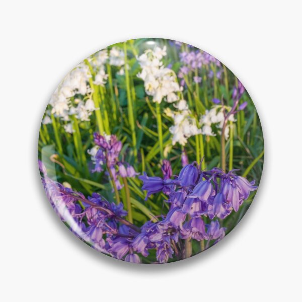 Item preview, Bluebells designed and sold by iCimages.net.