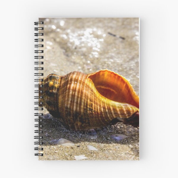 Item preview, Sea Shell on the Shore designed and sold by Re:Creation  Images.