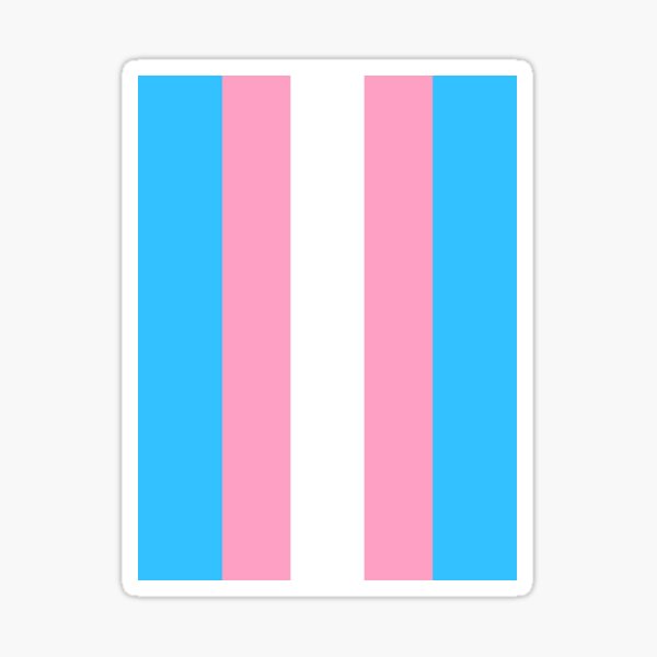 Transexual Pride Flag Sticker For Sale By Comedyquotes Redbubble 4514