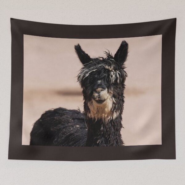 Item preview, A Suri Alpaca Looks at the Camera designed and sold by MomentofPercep.