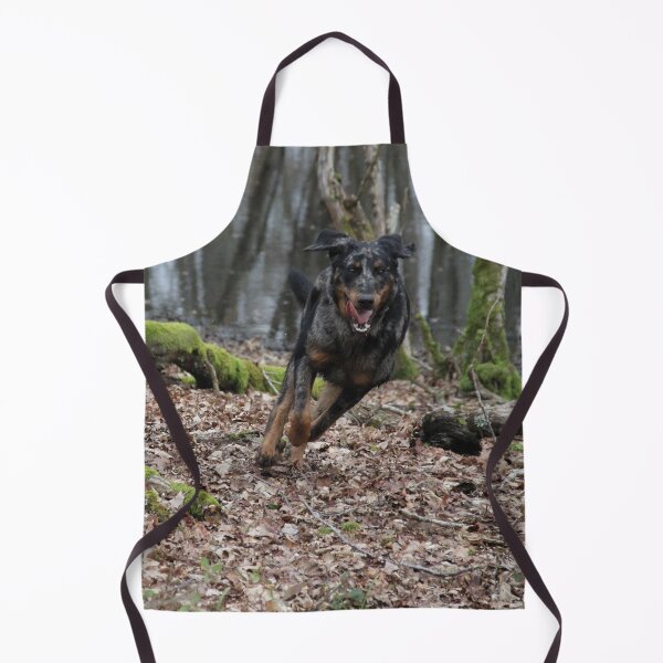 Item preview, Beauceron dog having fun in puddles in the meadow designed and sold by EstelleRossetti.