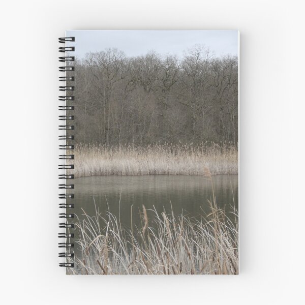 Item preview, Madine lake natural reeds landscape	 designed and sold by EstelleRossetti.