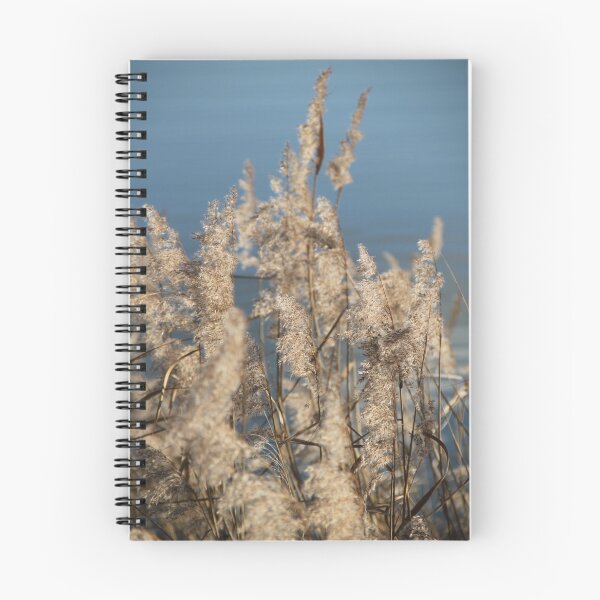 Item preview, Madine lake natural reeds landscape	 designed and sold by EstelleRossetti.