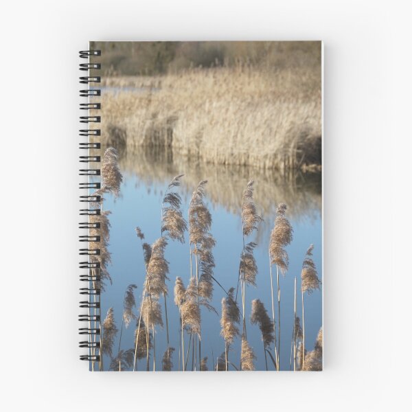 Item preview, Madine lake natural reeds landscape	 designed and sold by EstelleRossetti.