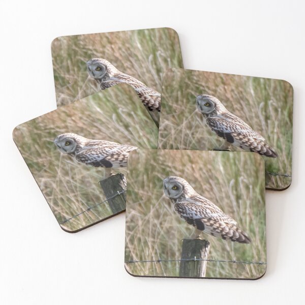 Item preview, short eared owl  designed and sold by tammy mellor.