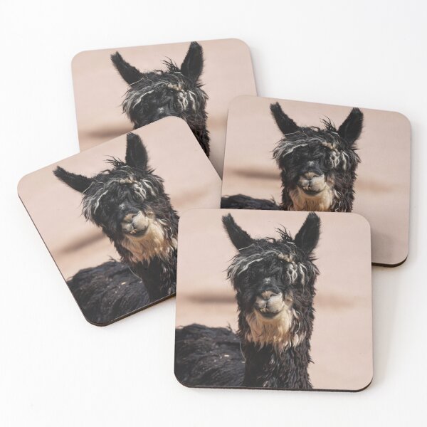 Item preview, A Suri Alpaca Looks at the Camera designed and sold by MomentofPercep.