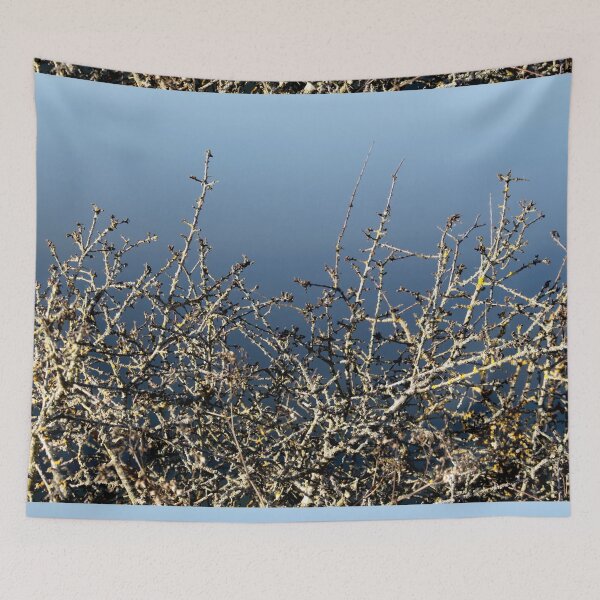 Item preview, Madine lake natural blanches landscape	 designed and sold by EstelleRossetti.