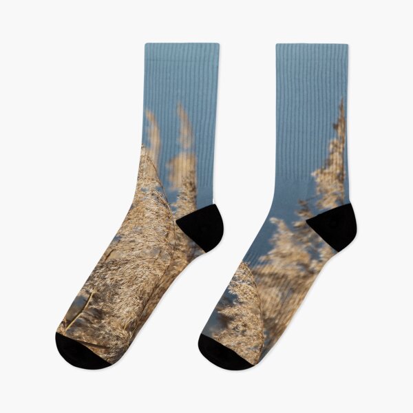 Item preview, Madine lake natural reeds landscape	 designed and sold by EstelleRossetti.