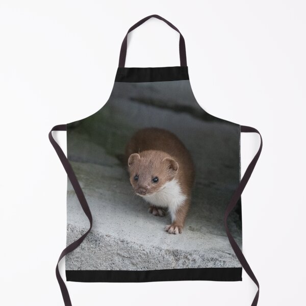 Item preview, little stoat designed and sold by tammy mellor.