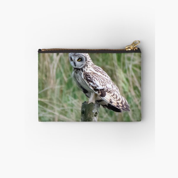 Item preview, short eared owl designed and sold by tammy mellor.