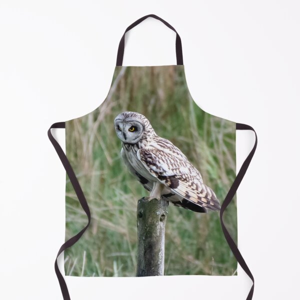 Item preview, short eared owl designed and sold by tammy mellor.