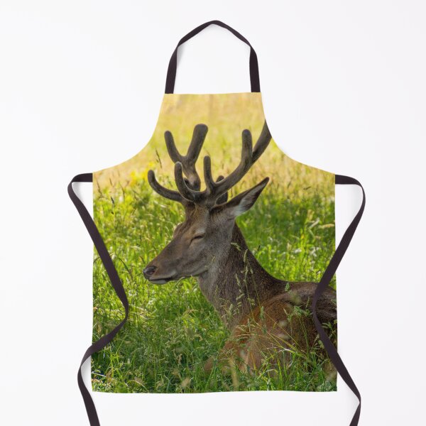 Item preview, #273 Red Deer Having a Lazy Day at Wollaton Hall Deer Park, Nottingham designed and sold by phutball.