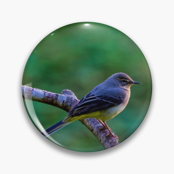 Item preview, Grey Wagtail designed and sold by iCimages.net.