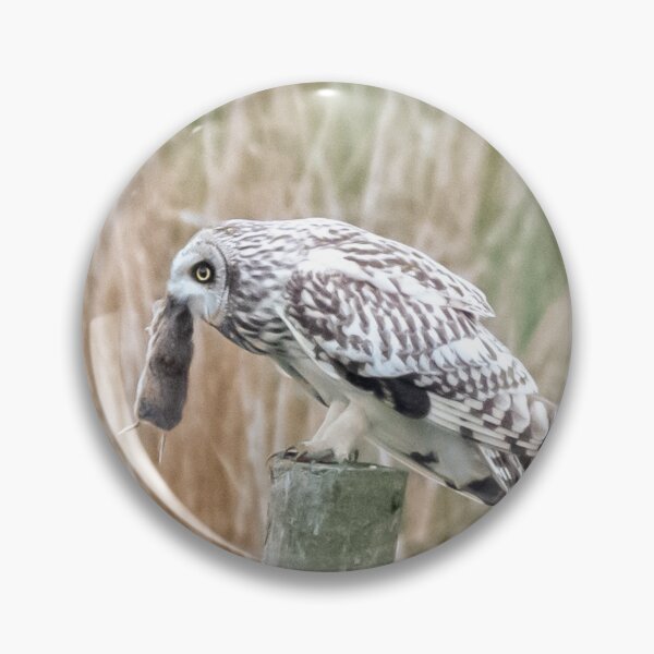 Item preview, short eared owl designed and sold by tammy mellor.