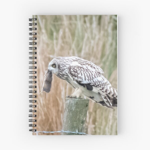 Item preview, short eared owl designed and sold by tammy mellor.