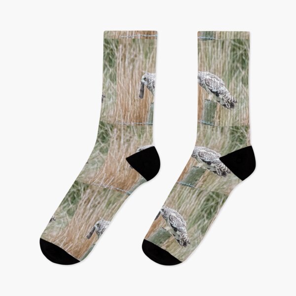 Item preview, short eared owl designed and sold by tammy mellor.